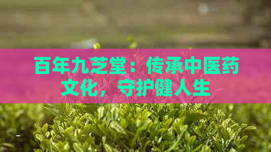 百年九芝堂：传承中医药文化，守护健人生