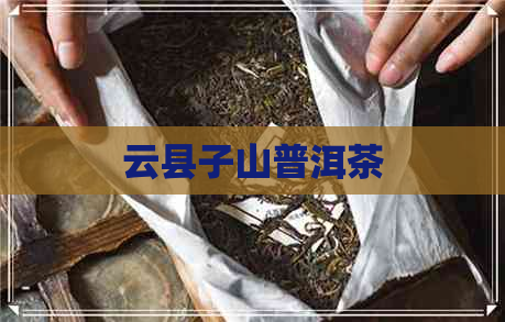 云县子山普洱茶