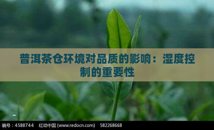 普洱茶仓环境对品质的影响：湿度控制的重要性