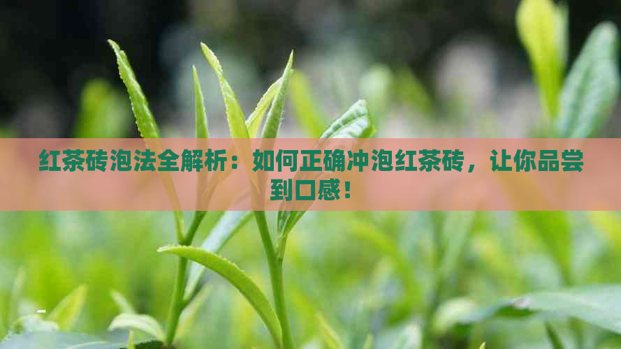 红茶砖泡法全解析：如何正确冲泡红茶砖，让你品尝到口感！