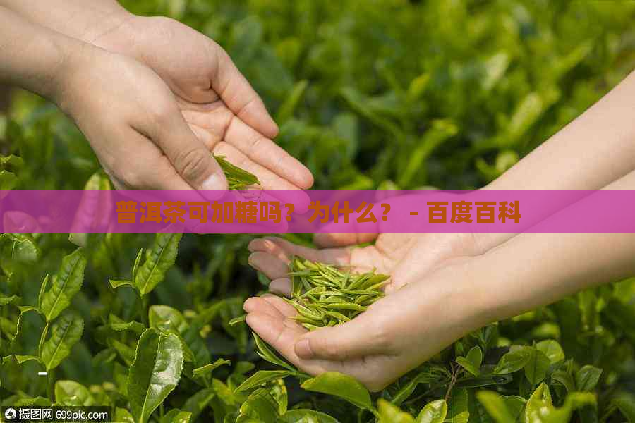 普洱茶可加糖吗？为什么？ - 百度百科