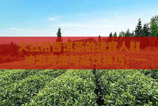 大红柑普洱茶的适宜人群、冲泡方法与品饮技巧：一篇全面解答