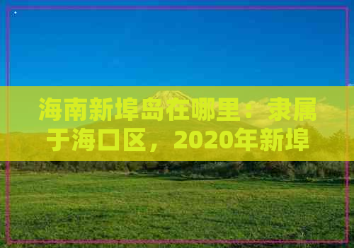 海南新埠岛在哪里：隶属于海口区，2020年新埠岛改造计划，海鲜大世界介绍