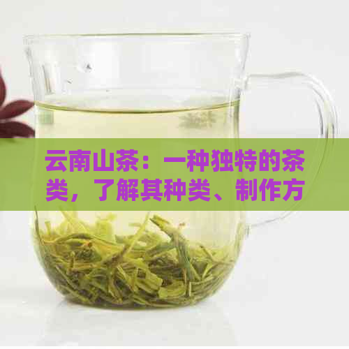 云南山茶：一种独特的茶类，了解其种类、制作方法和功效