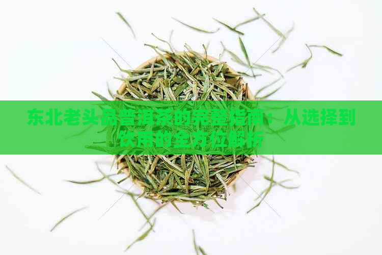 东北老头品普洱茶的完整指南：从选择到饮用的全方位解析