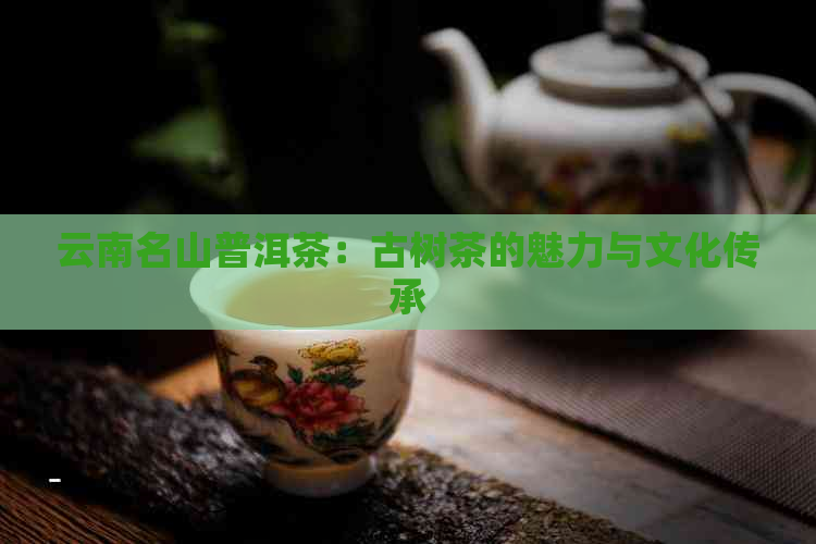 云南名山普洱茶：古树茶的魅力与文化传承