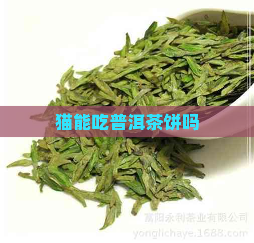 猫能吃普洱茶饼吗