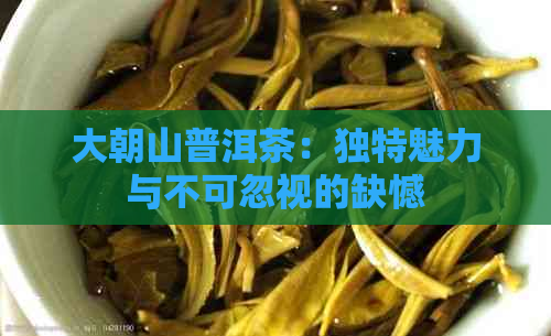 大朝山普洱茶：独特魅力与不可忽视的缺憾