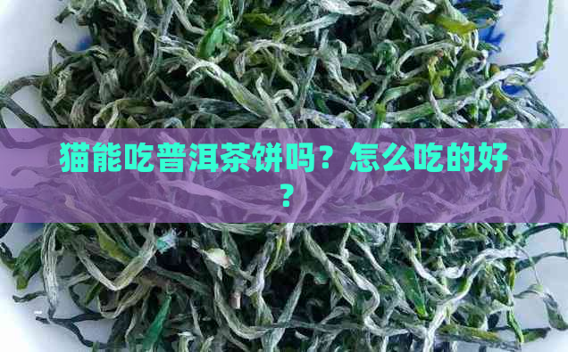 猫能吃普洱茶饼吗？怎么吃的好？