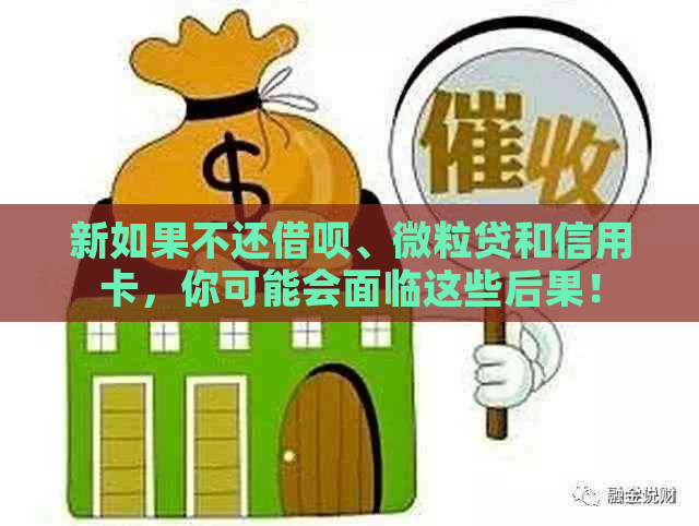 新如果不还借呗、微粒贷和信用卡，你可能会面临这些后果！