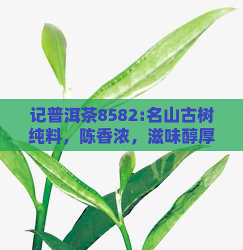 记普洱茶8582:名山古树纯料，陈香浓，滋味醇厚，品味悠长，收藏佳品