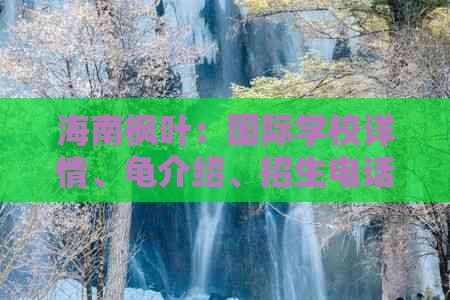 海南枫叶：国际学校详情、龟介绍、招生电话及学费概况