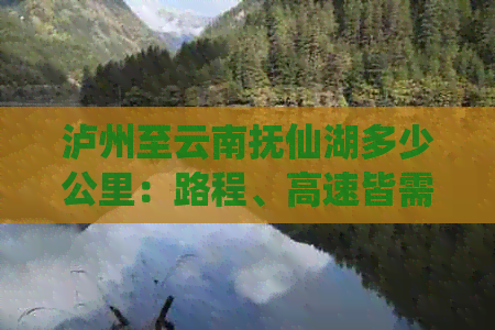 泸州至云南抚仙湖多少公里：路程、高速皆需考虑