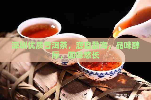 深圳优质普洱茶，源自勐海，品味醇厚，回味悠长