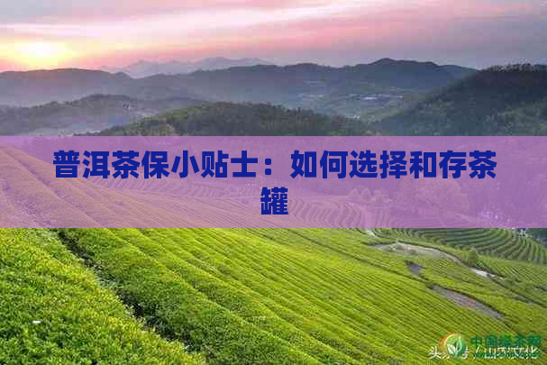 普洱茶保小贴士：如何选择和存茶罐