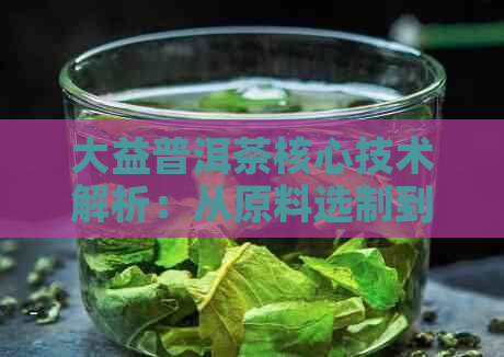 大益普洱茶核心技术解析：从原料选制到生产工艺全方位详解