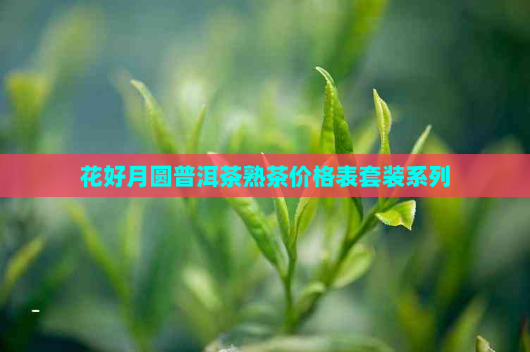 花好月圆普洱茶熟茶价格表套装系列