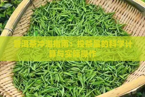 普洱茶冲泡指南：投茶量的科学计算与实际操作