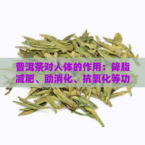 普洱茶对人体的作用：降脂减肥、助消化、抗氧化等功效。