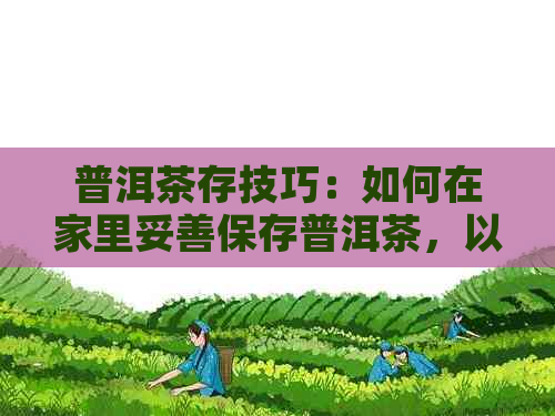 普洱茶存技巧：如何在家里妥善保存普洱茶，以保持其品质和口感