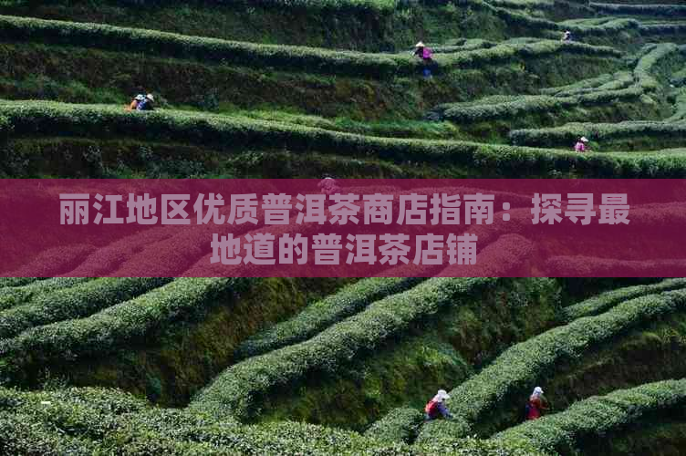 丽江地区优质普洱茶商店指南：探寻最地道的普洱茶店铺