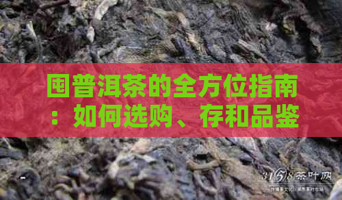 囤普洱茶的全方位指南：如何选购、存和品鉴，让您的茶叶保持品质