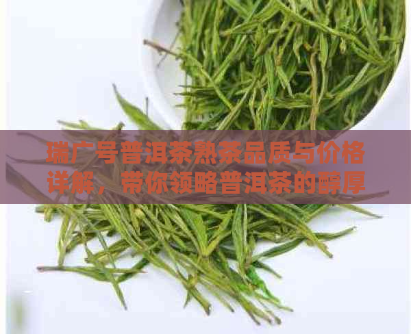 瑞广号普洱茶熟茶品质与价格详解，带你领略普洱茶的醇厚口感