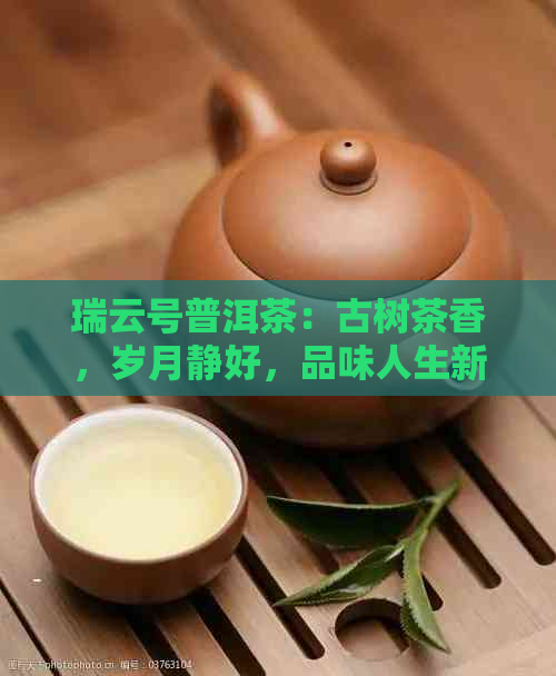 瑞云号普洱茶：古树茶香，岁月静好，品味人生新境界