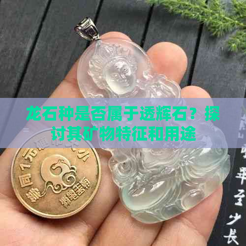 龙石种是否属于透辉石？探讨其矿物特征和用途