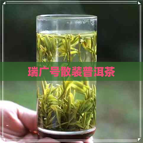 瑞广号散装普洱茶