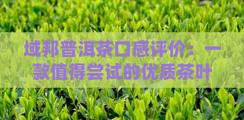 域邦普洱茶口感评价：一款值得尝试的优质茶叶体验