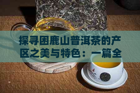 探寻困鹿山普洱茶的产区之美与特色：一篇全面指南