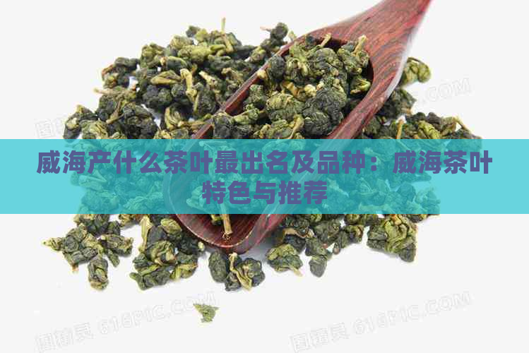 威海产什么茶叶最出名及品种：威海茶叶特色与推荐