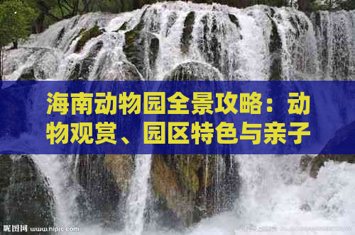 海南动物园全景攻略：动物观赏、园区特色与亲子游体验指南