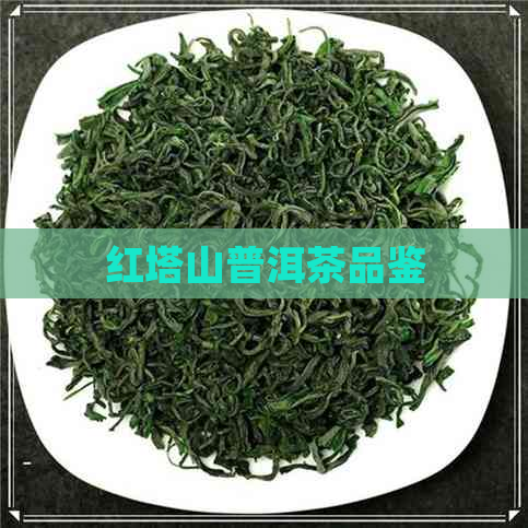 红塔山普洱茶品鉴