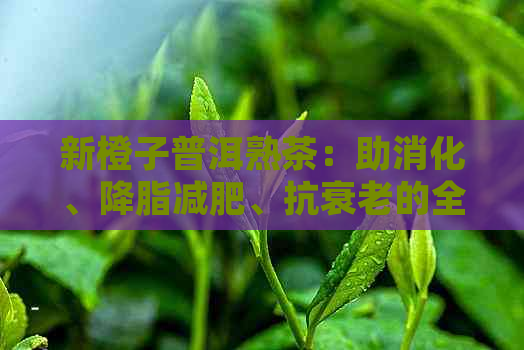 新橙子普洱熟茶：助消化、降脂减肥、抗衰老的全能茶饮！