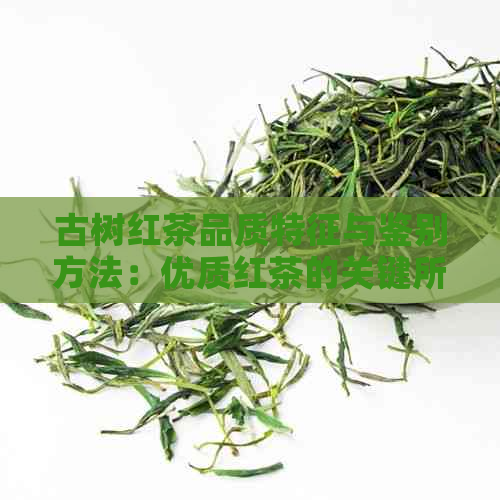 古树红茶品质特征与鉴别方法：优质红茶的关键所在