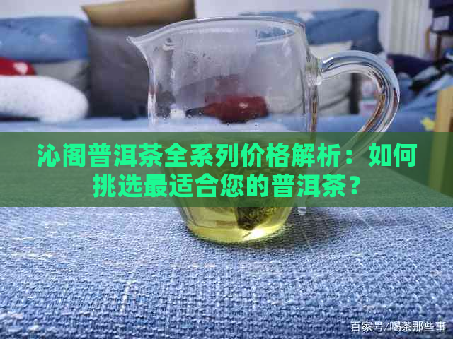 沁阁普洱茶全系列价格解析：如何挑选最适合您的普洱茶？