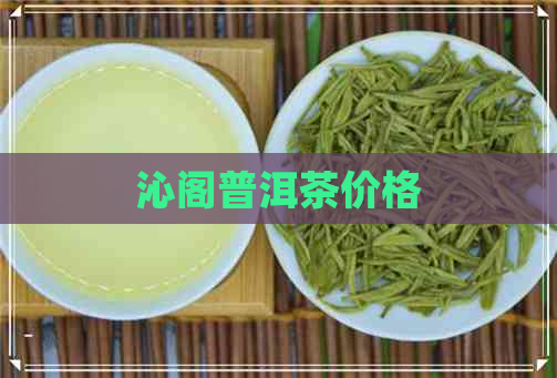 沁阁普洱茶价格