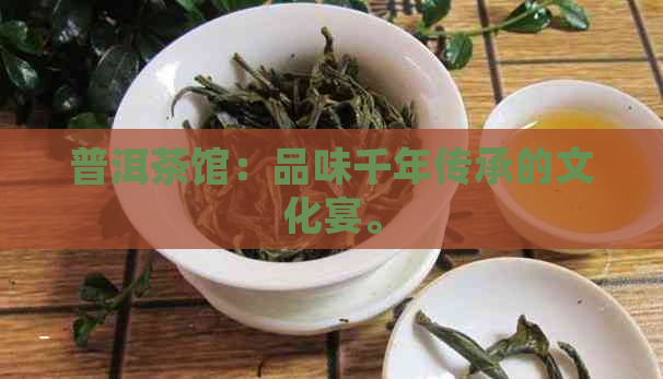 普洱茶馆：品味千年传承的文化宴。