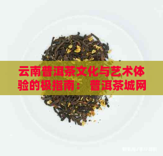 云南普洱茶文化与艺术体验的极指南： 普洱茶城网站