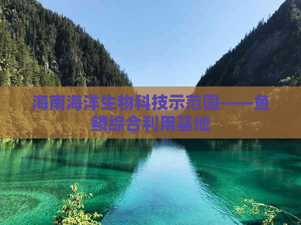 海南海洋生物科技示范园——鱼鳞综合利用基地