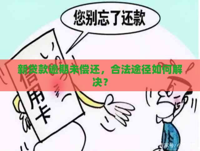 新贷款逾期未偿还，合法途径如何解决？