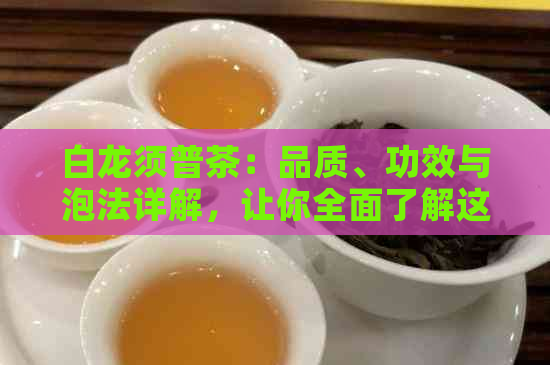 白龙须普茶：品质、功效与泡法详解，让你全面了解这款茶叶的一切