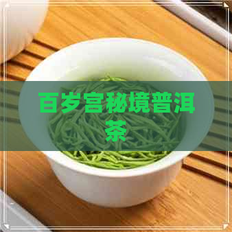 百岁宫秘境普洱茶