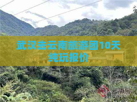 武汉去云南旅游团10天纯玩报价