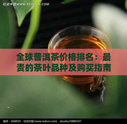 全球普洱茶价格排名：最贵的茶叶品种及购买指南