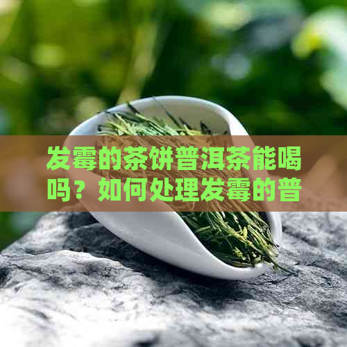 发霉的茶饼普洱茶能喝吗？如何处理发霉的普洱茶饼？