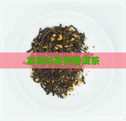 发霉的茶饼普洱茶