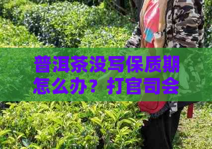 普洱茶没写保质期怎么办？打官司会赢吗？